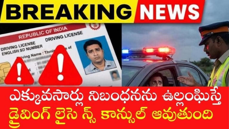డ్రైవింగ్ లైసె న్స్